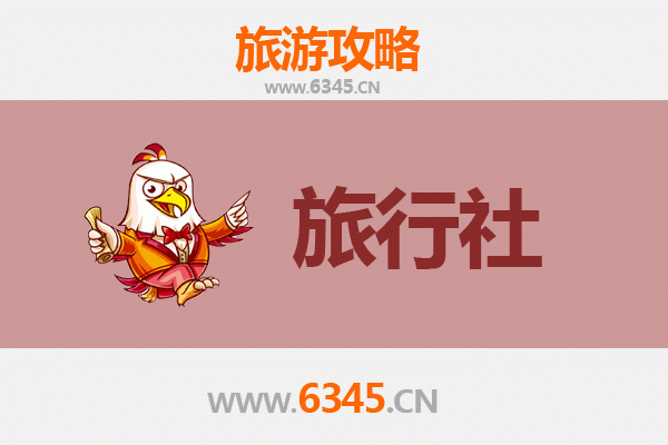 聊城莘县本地旅行社推荐及深度游玩攻略