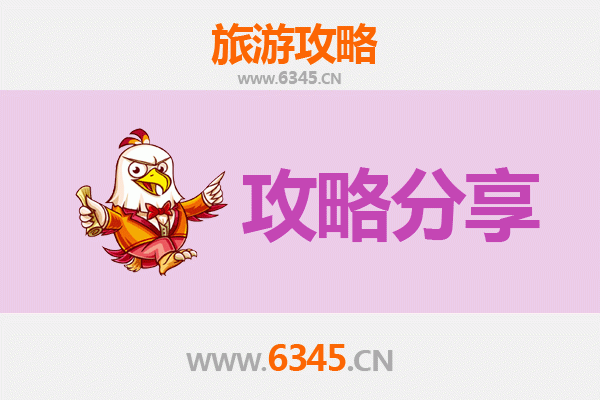 聊城莘县旅游攻略：跟团游与自由行深度对比