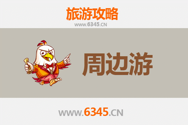 聊城莘县周边游全攻略：探索鲁西历史与自然之美