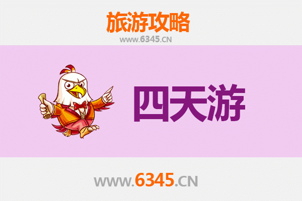 聊城莘县四天三夜深度游攻略：探索鲁西文化瑰宝与自然风光