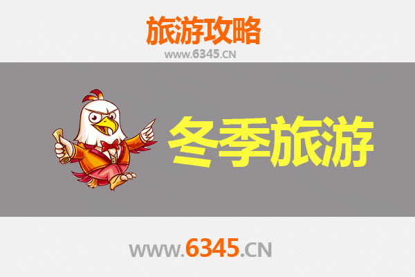 聊城莘县冬季旅游全攻略：古韵冬景与暖心体验